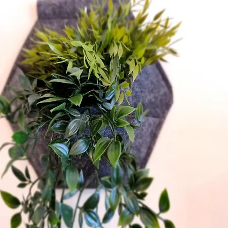 La Folixa